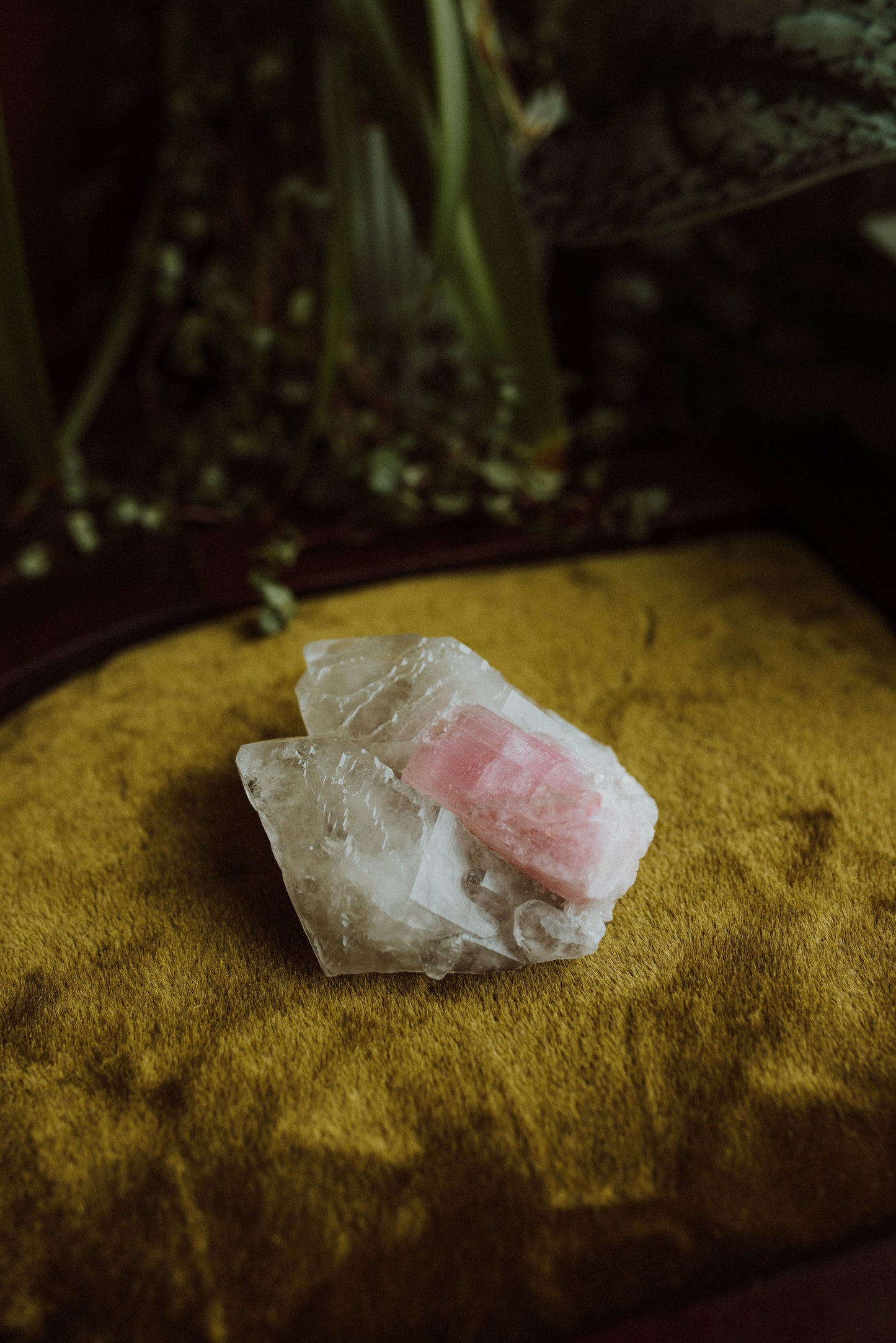 Pink Tourmaline in Quartz