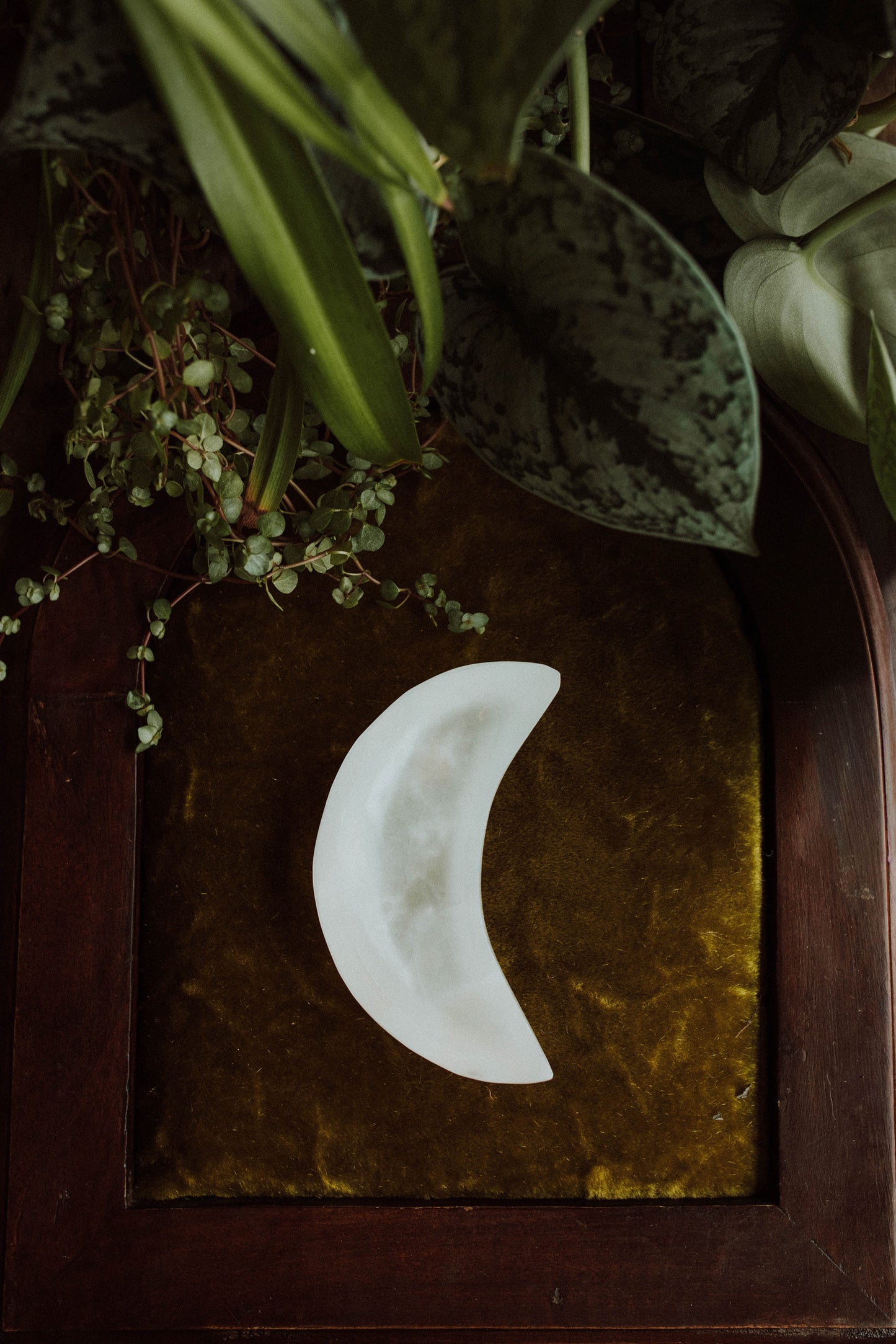 Natural Selenite Moon Bowls