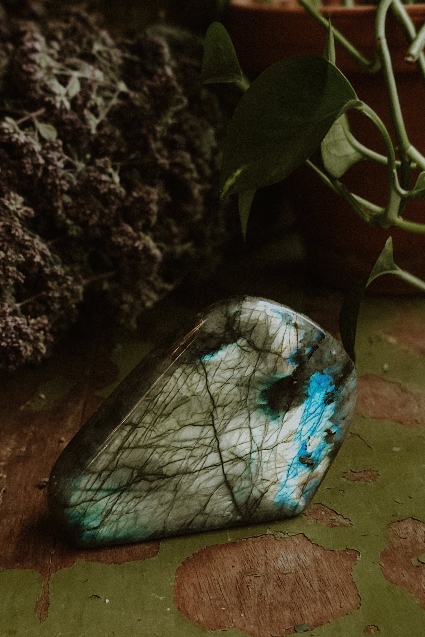 Labradorite Free Form