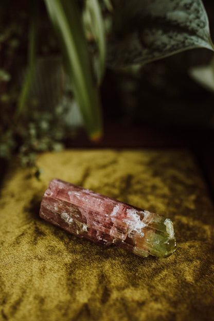 Bi-Color Tourmaline ("Watermelon")