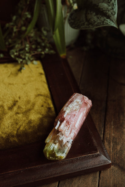 Bi-Color Tourmaline ("Watermelon")