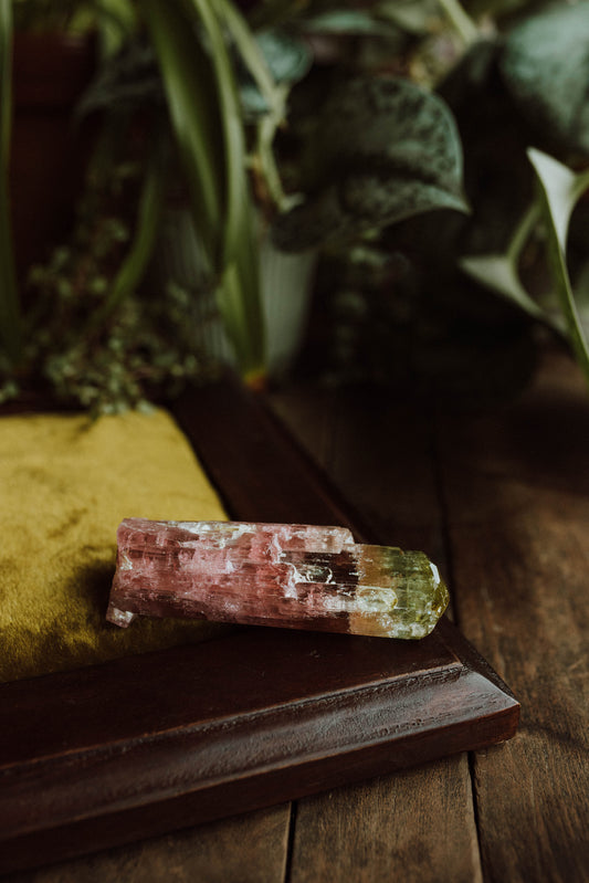 Bi-Color Tourmaline ("Watermelon")