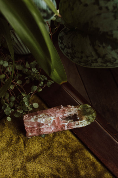 Bi-Color Tourmaline ("Watermelon")