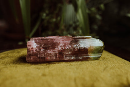 Bi-Color Tourmaline ("Watermelon")