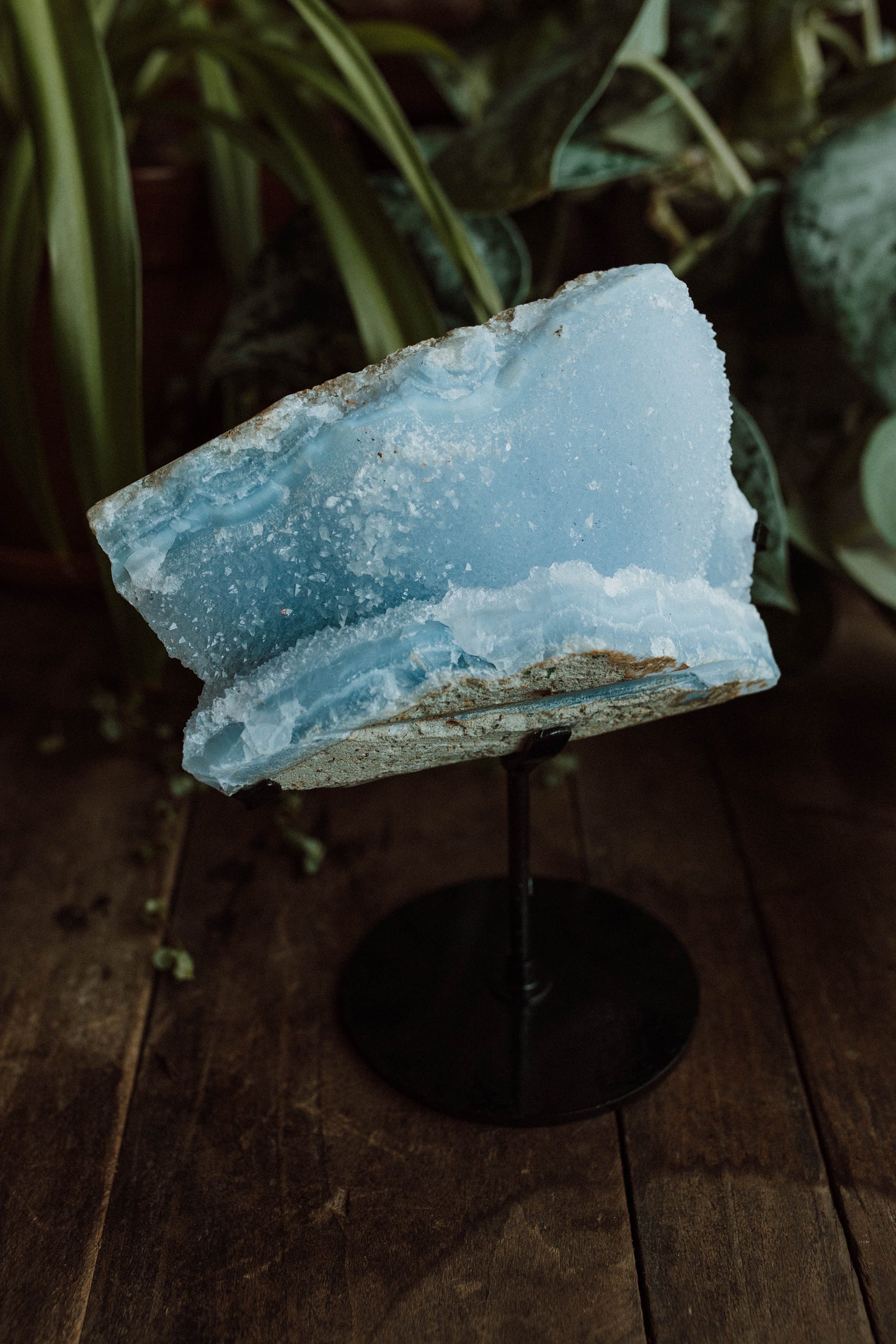 Blue Lace Agate Druzy
