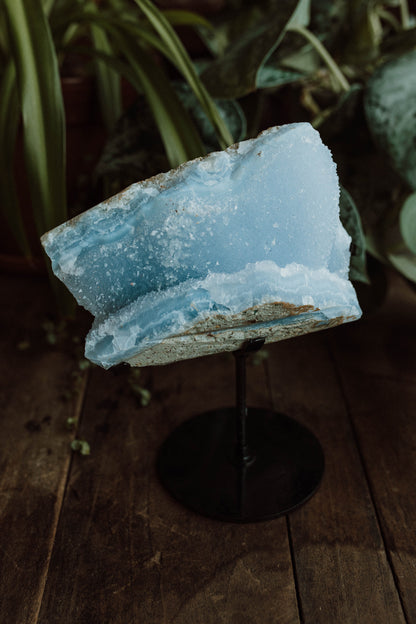 Blue Lace Agate Druzy