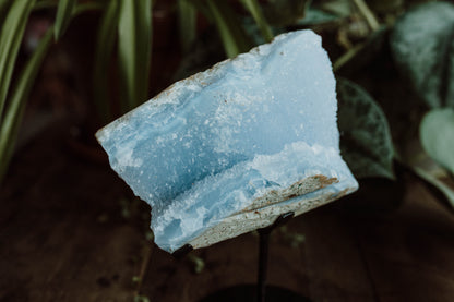 Blue Lace Agate Druzy