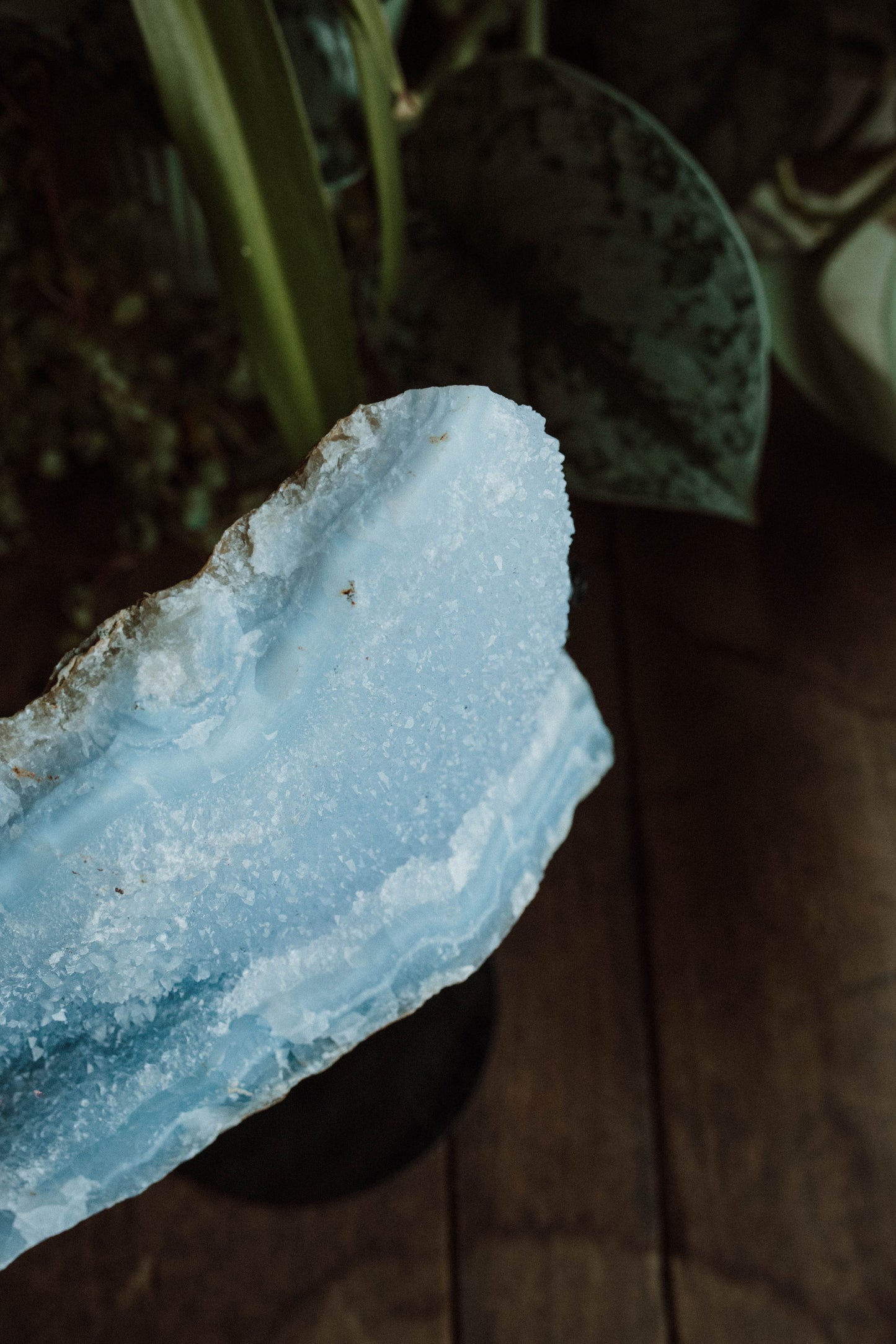 Blue Lace Agate Druzy