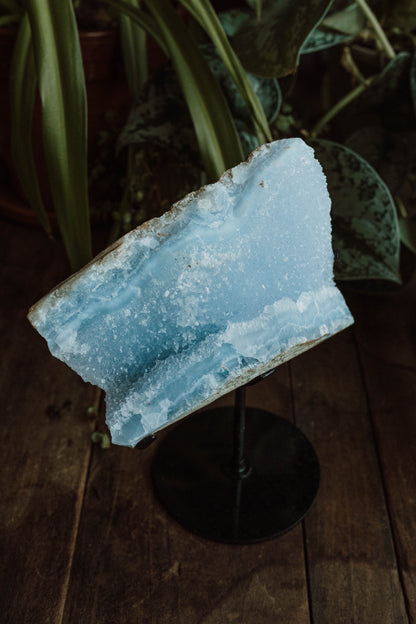 Blue Lace Agate Druzy