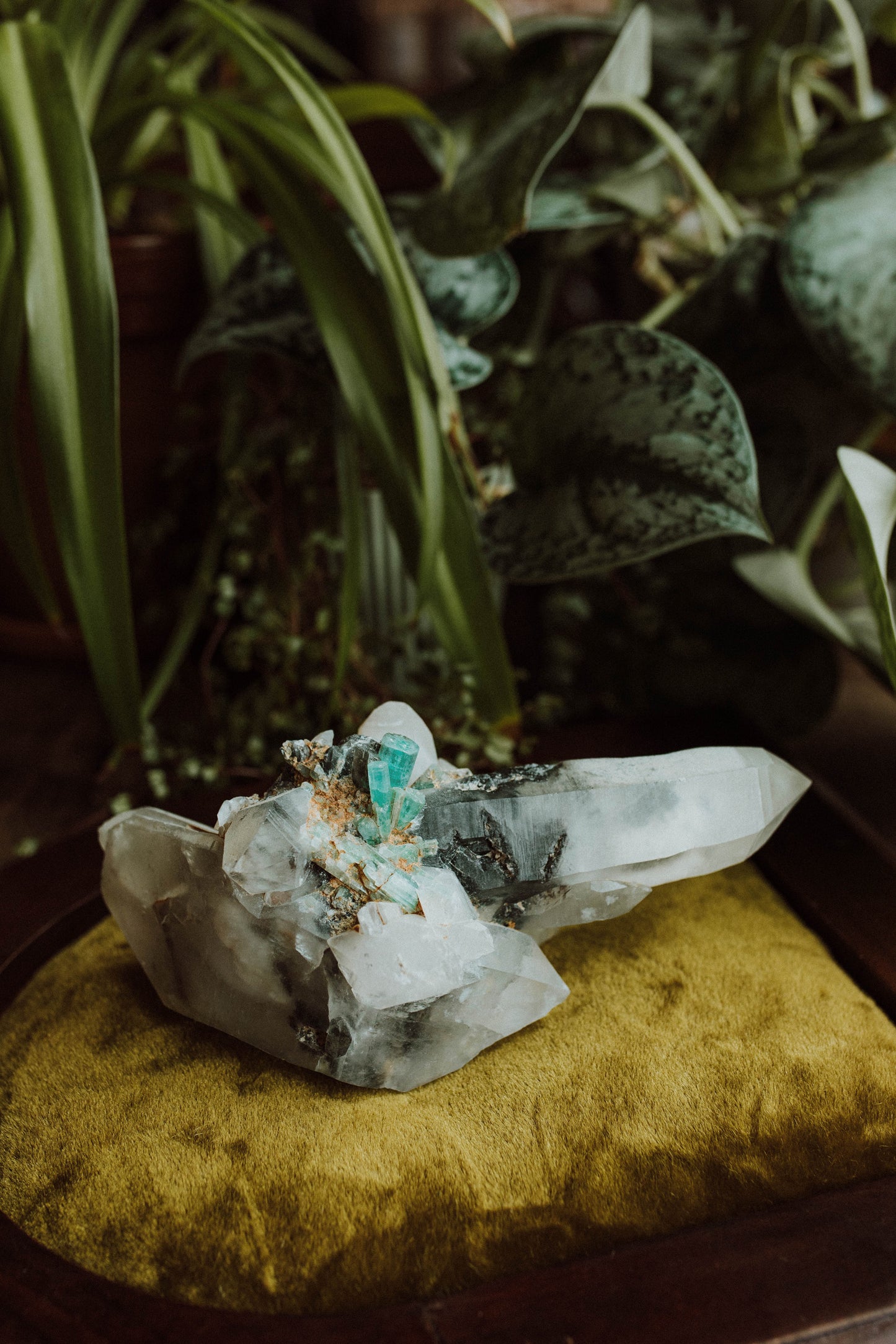 Emerald In Quartz