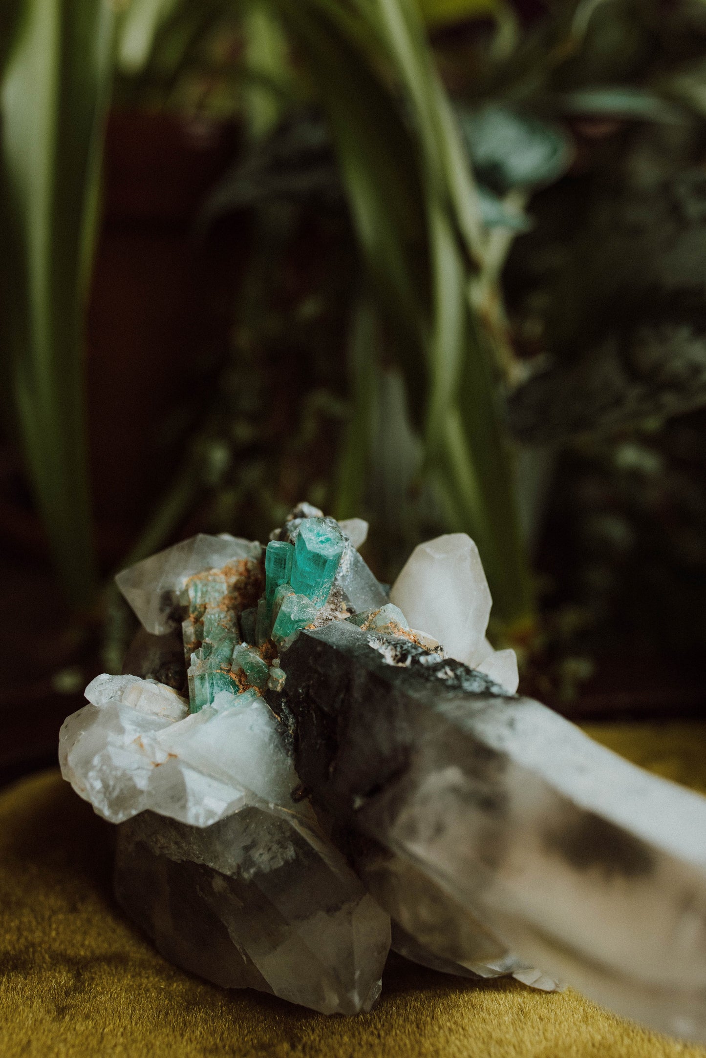 Emerald In Quartz
