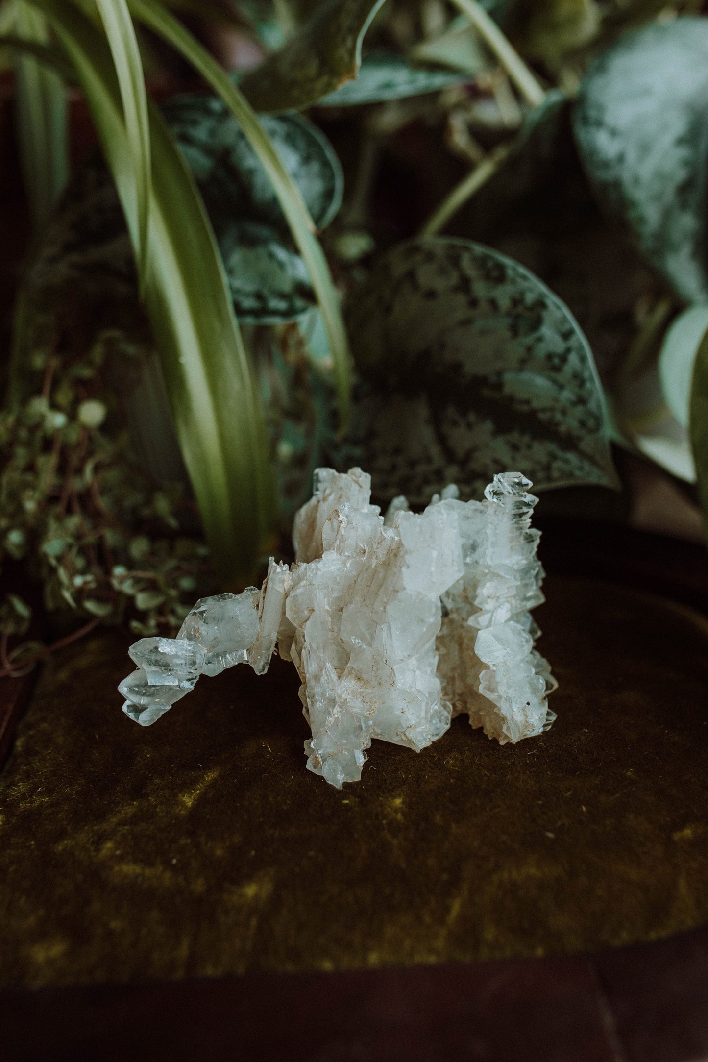 Faden Quartz