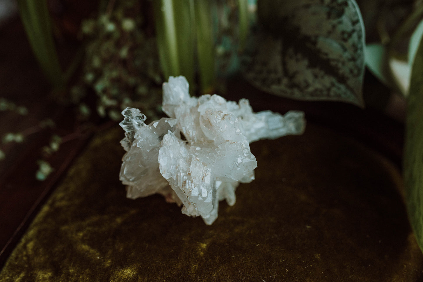 Faden Quartz