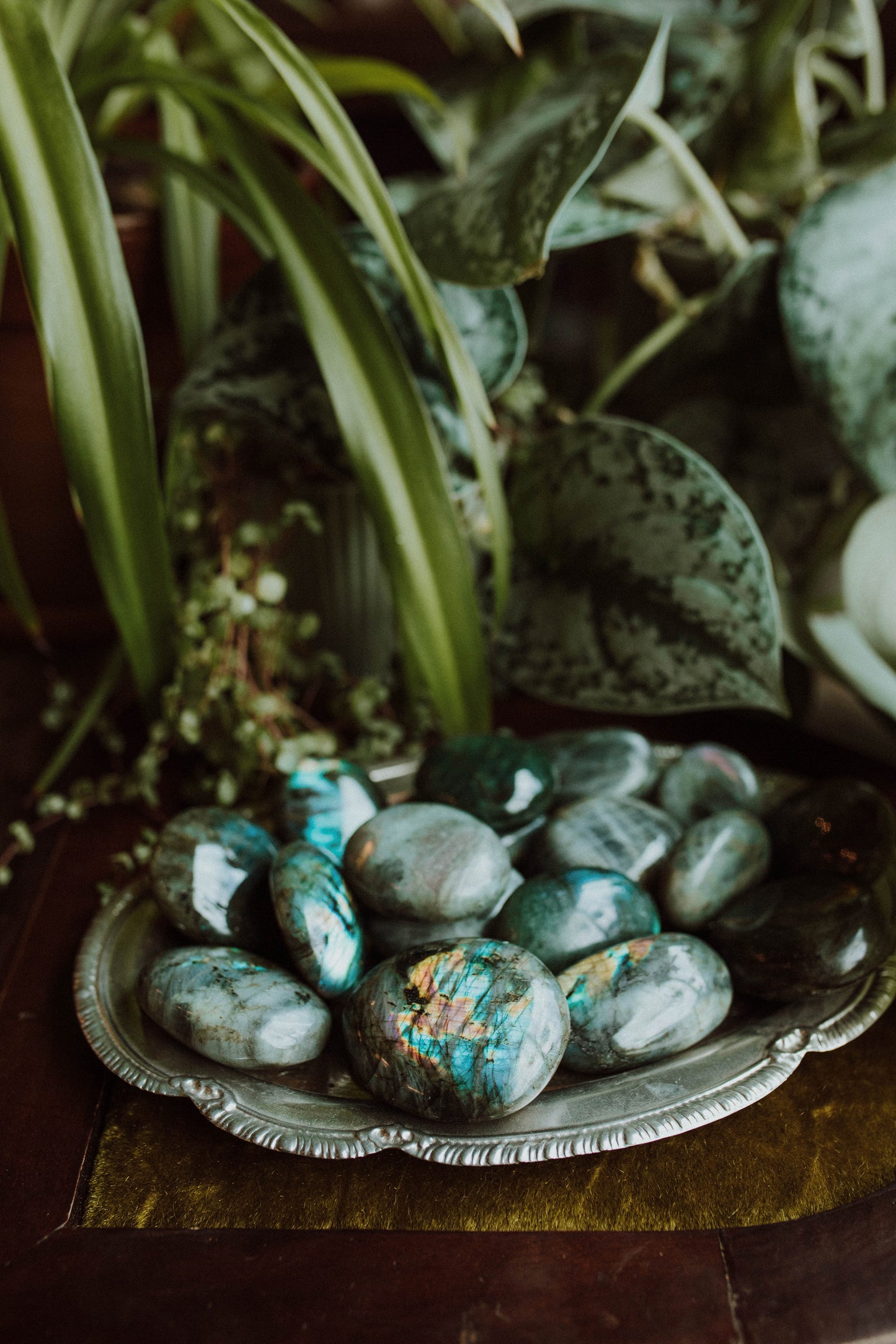 Labradorite Palm Stone