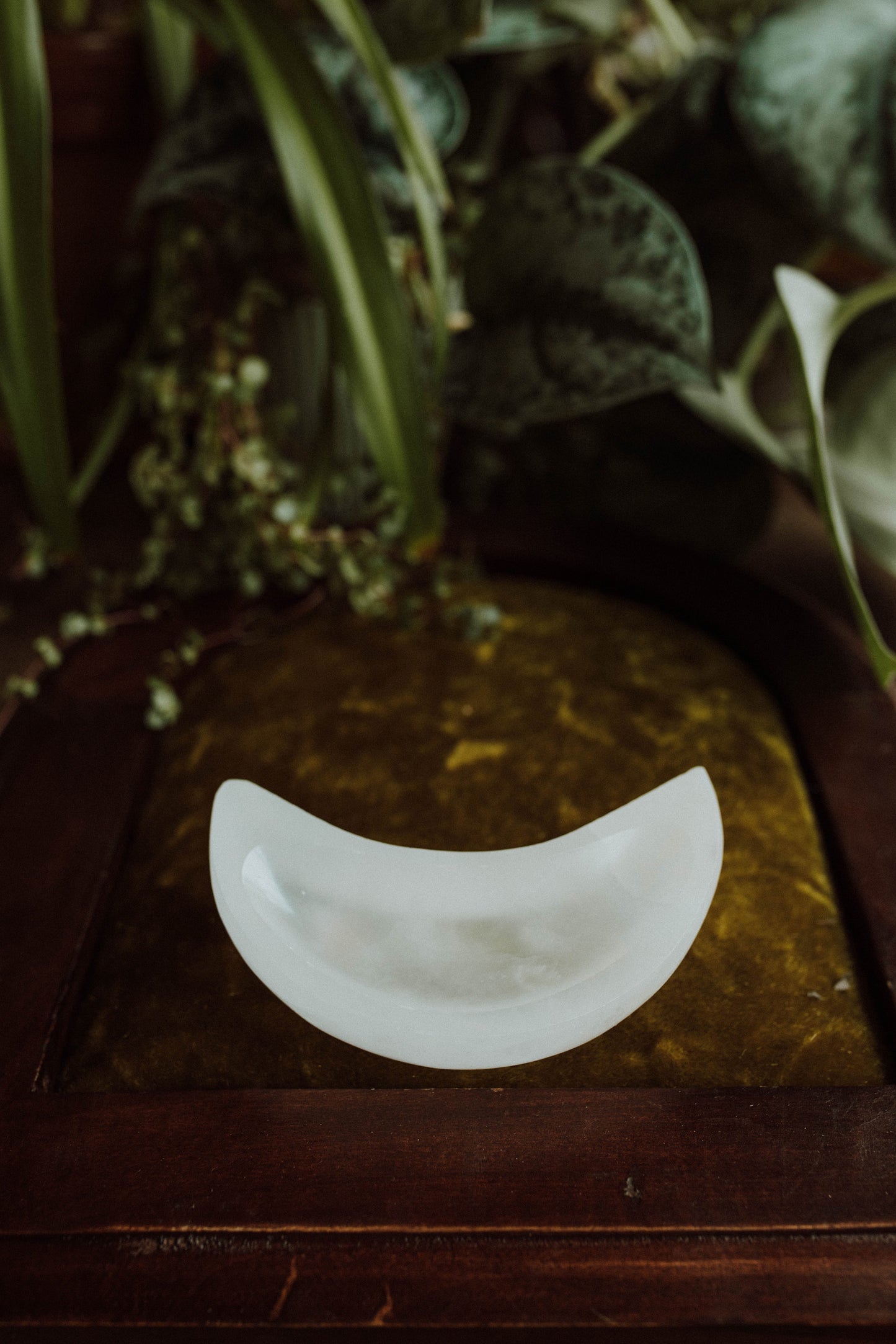 Natural Selenite Moon Bowls