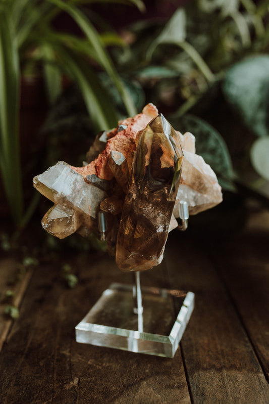 Smoky Citrine on Stand