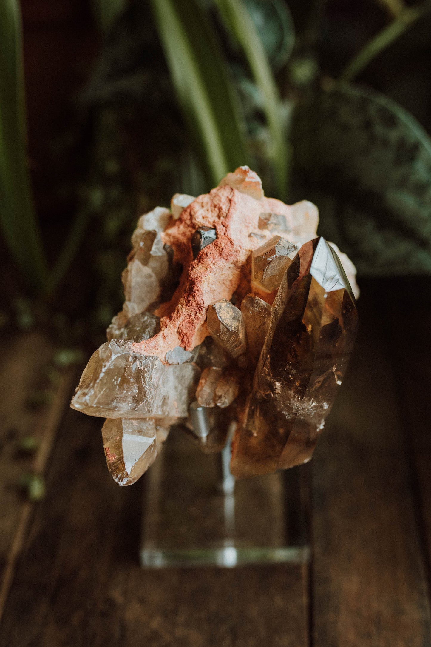 Smoky Citrine on Stand