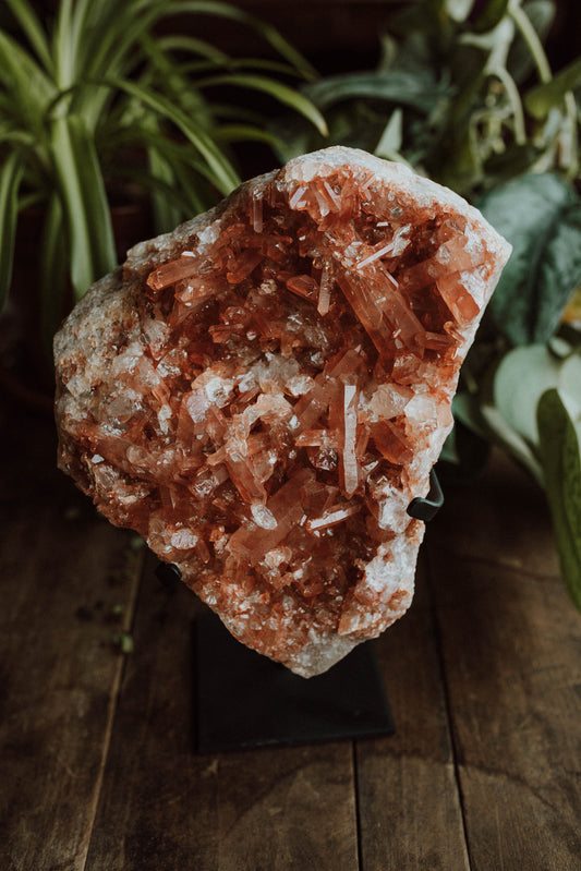 Tangerine Quartz Cluster on Stand