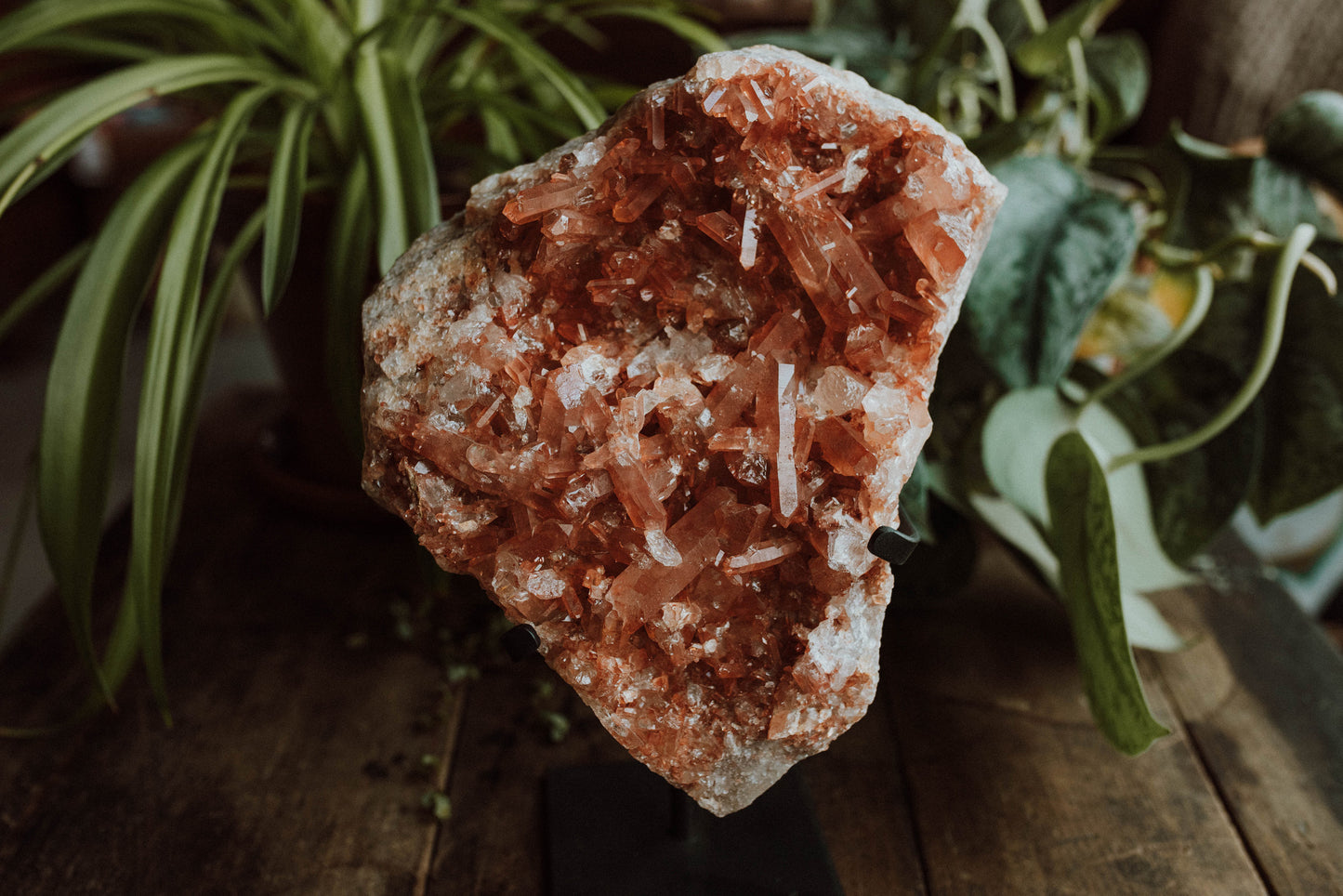 Tangerine Quartz Cluster on Stand