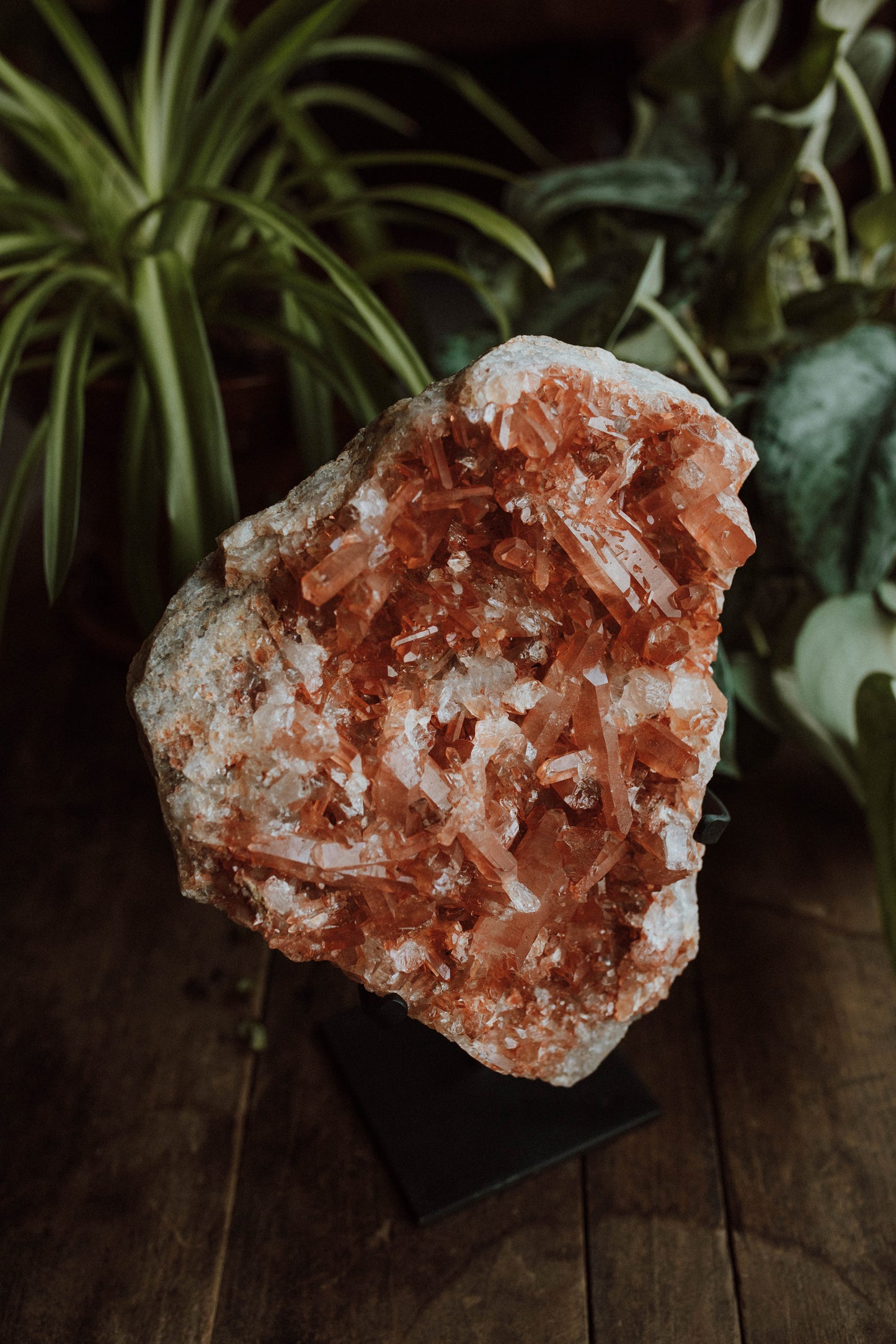 Tangerine Quartz Cluster on Stand